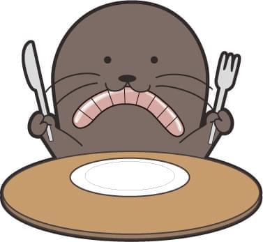 腹筋ローラーの力を信じろの写真